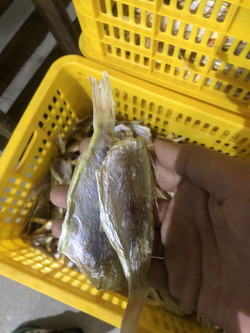单线，南仓，马有干🐠片