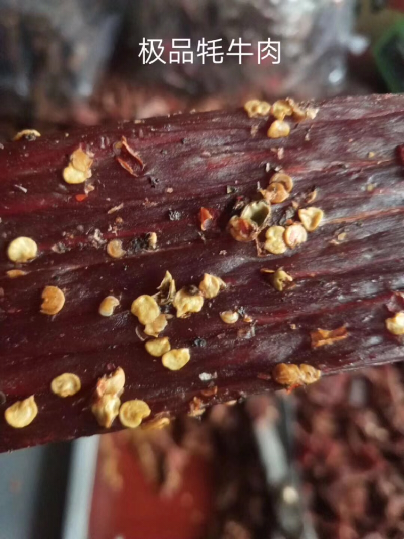 阿坝州高原生态手撕牛肉干！高山牦牛肉！吃虫草长大的