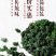安溪铁观音乌龙茶浓香型