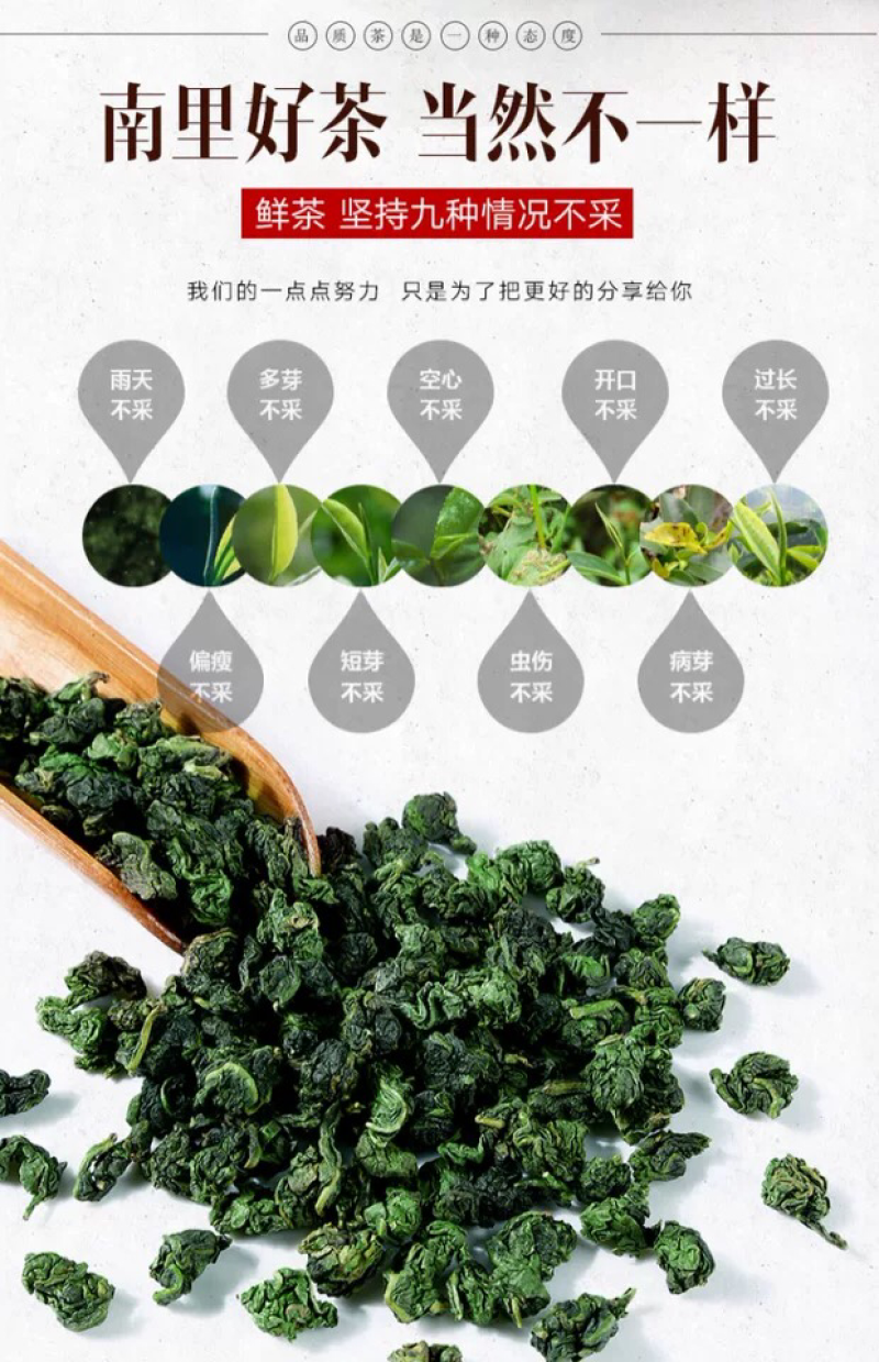 安溪铁观音乌龙茶浓香型
