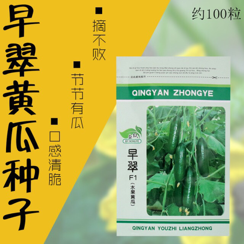 高产抗病杂交全雌荷兰水果黄瓜种子亩产四万斤早翠