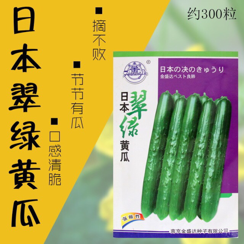 日本翠绿水果黄瓜种子口感甜脆抗病高产