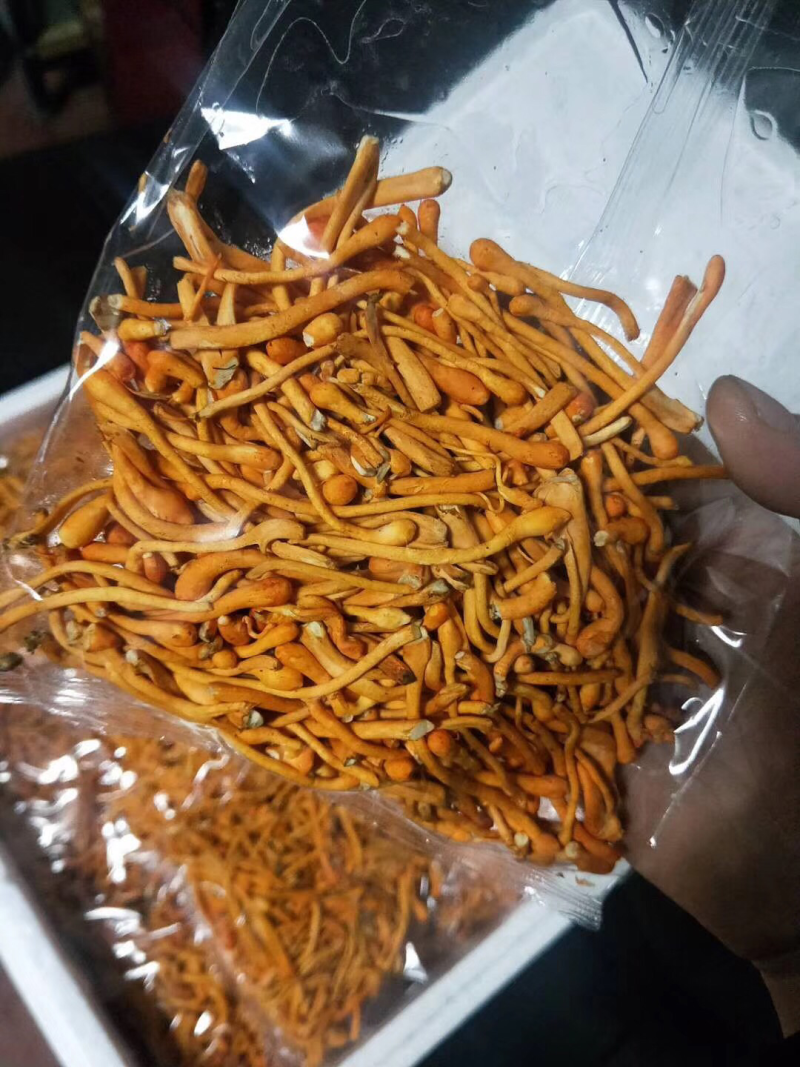金针菇量大从优