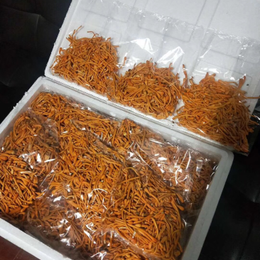 金针菇量大从优