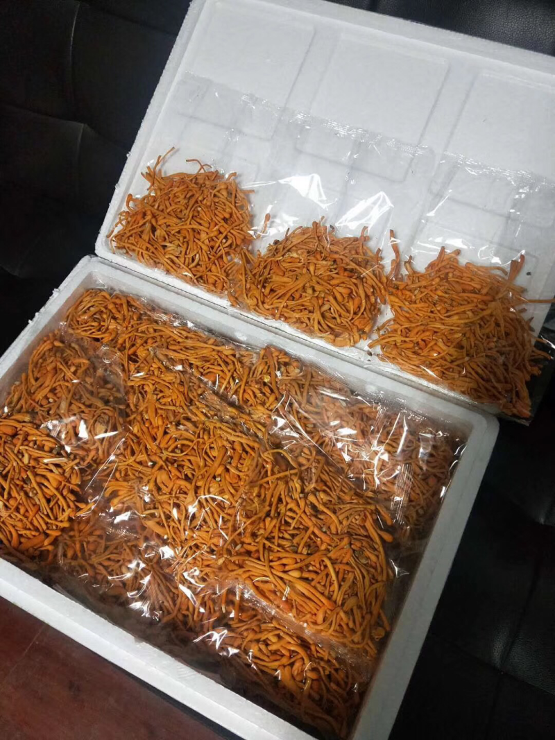 金针菇量大从优