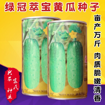 绿冠萃宝水果黄瓜种子旱黄瓜种子高产抗病