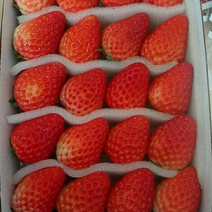 烘焙规格盒装草莓