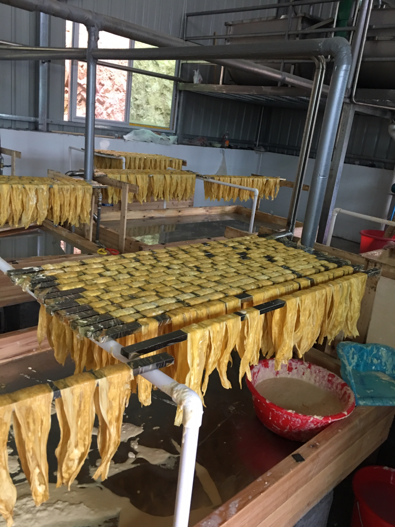 手工制作柴火烤香豆腐皮