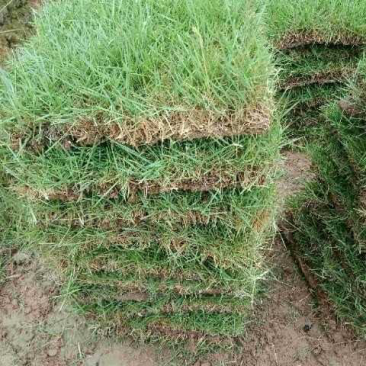 草块