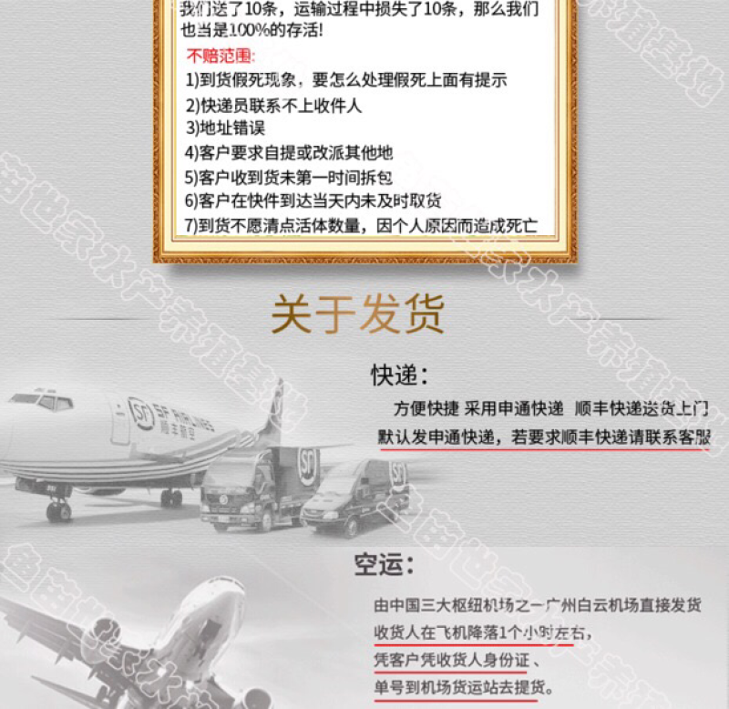台湾泥鳅苗大量供应
