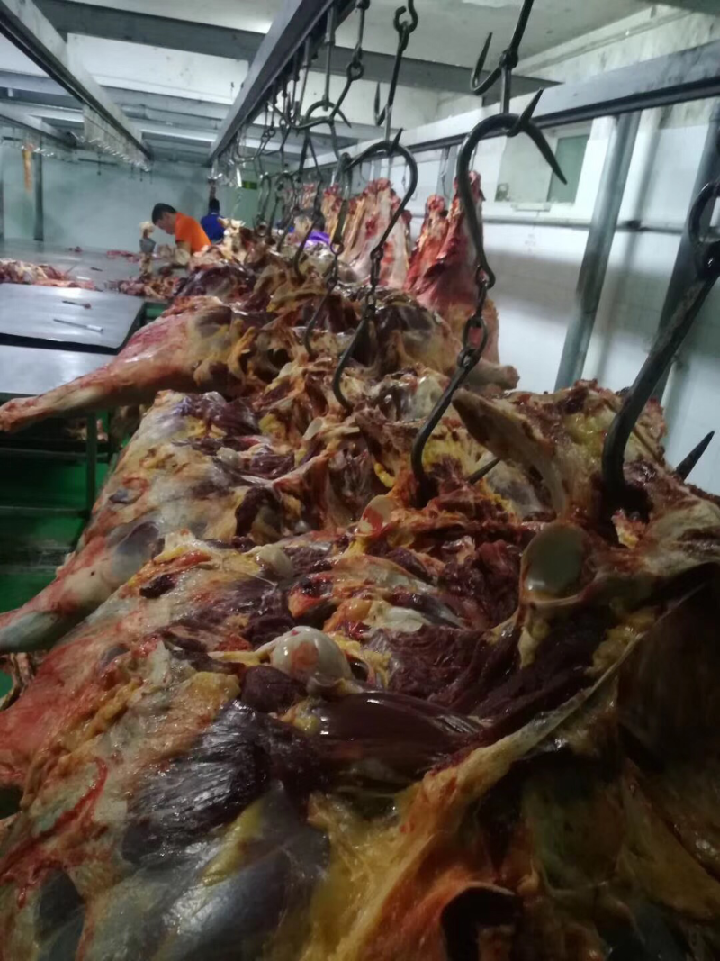 新疆伊犁哈萨克美食正宗大块肉熏马肠熏马肉肋条肠包邮