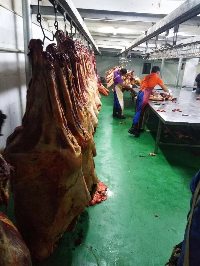 新疆伊犁哈萨克美食正宗大块肉熏马肠熏马肉肋条肠包邮