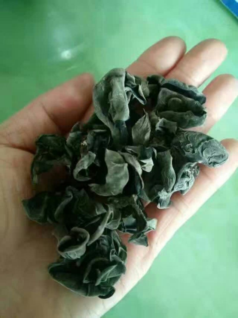 干木耳特级