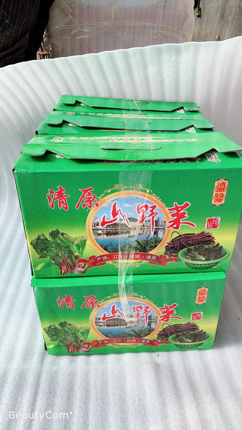刺嫩芽