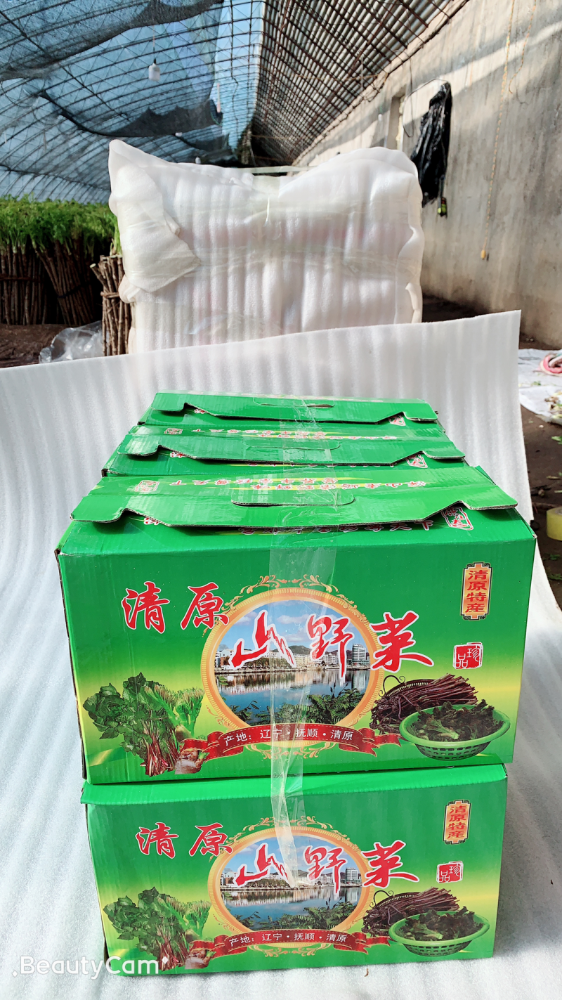 刺嫩芽