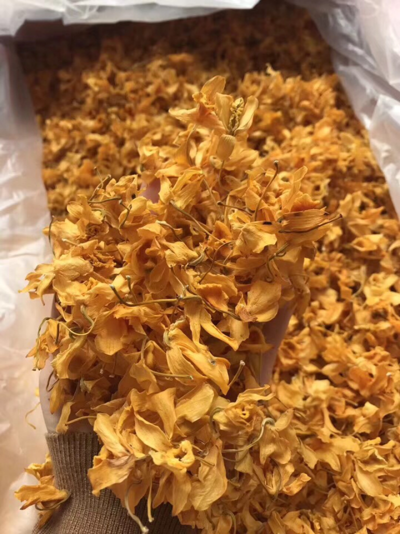 鼓槌石斛花