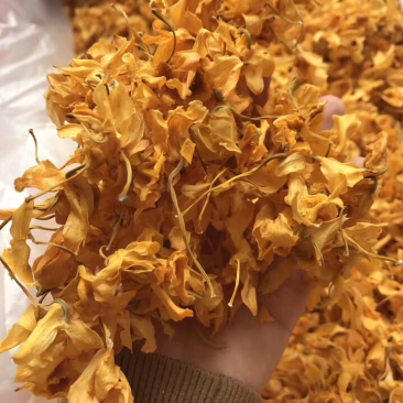鼓槌石斛花