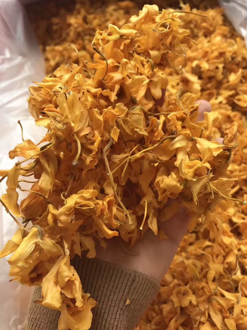 鼓槌石斛花