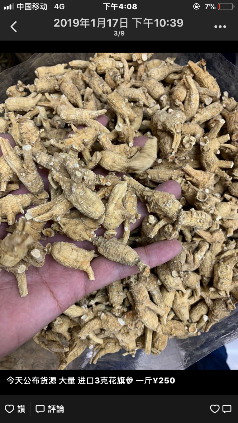 加拿大花旗参
