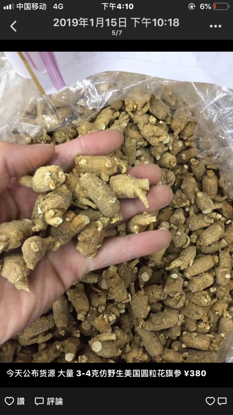 加拿大花旗参
