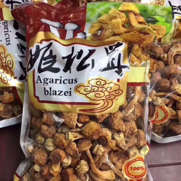姬松茸