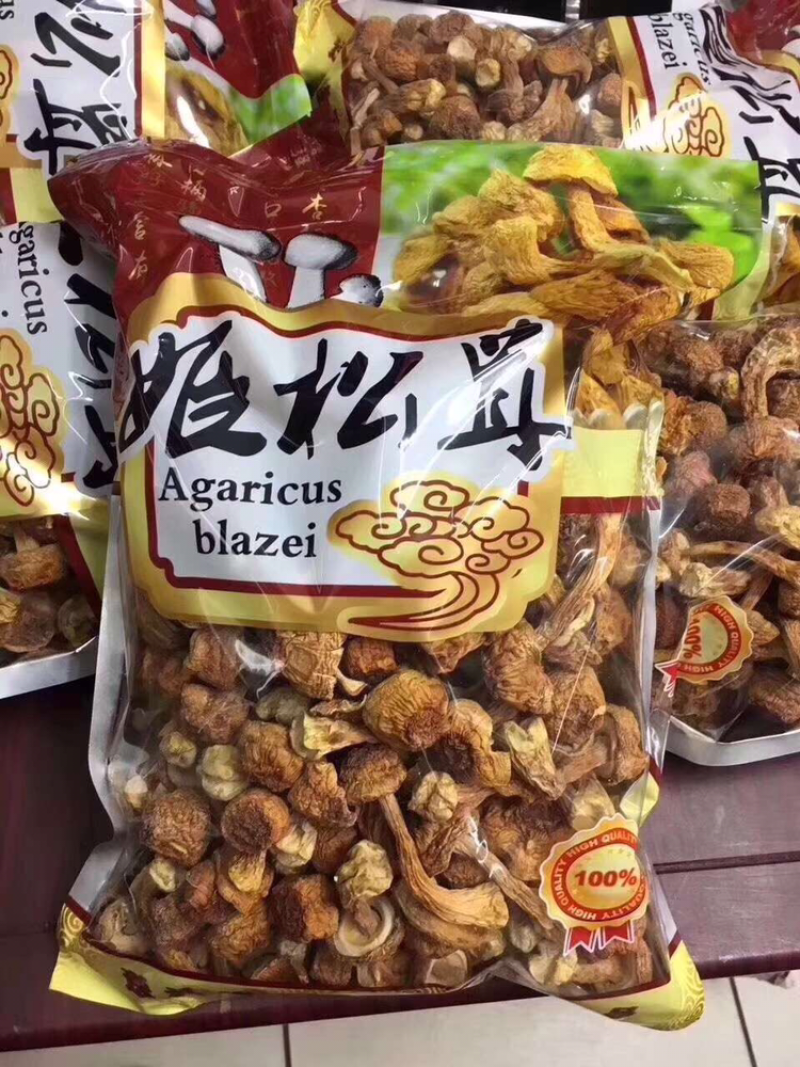 姬松茸