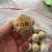 小青柑柑普茶普洱茶柑普茶500g包邮