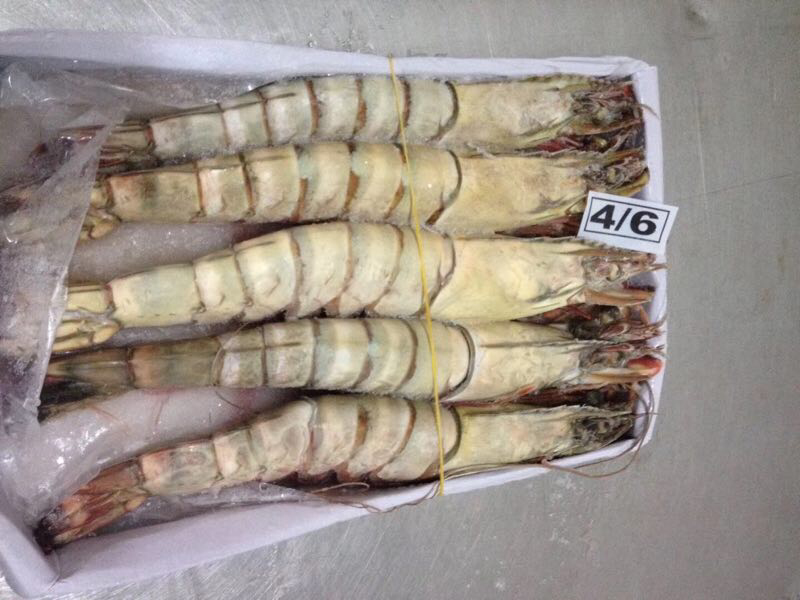 海虾，扒皮鱼、龙虾等产品