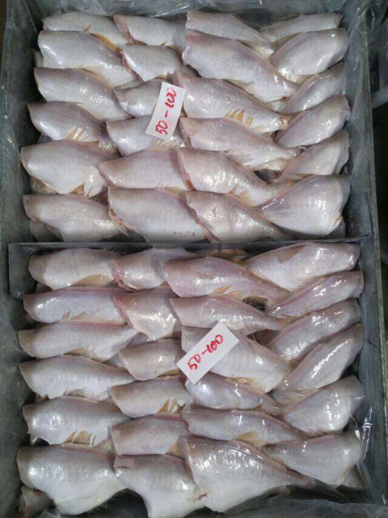 海虾，扒皮鱼、龙虾等产品