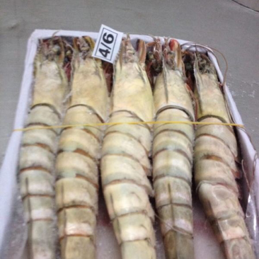 海虾，扒皮鱼、龙虾等产品