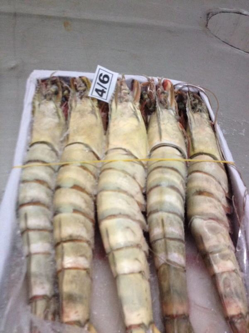 海虾，扒皮鱼、龙虾等产品