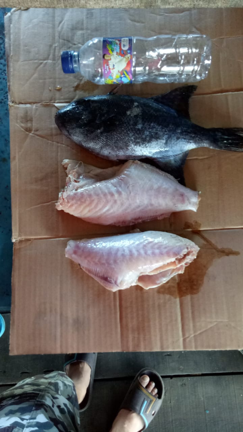 海虾，扒皮鱼、龙虾等产品