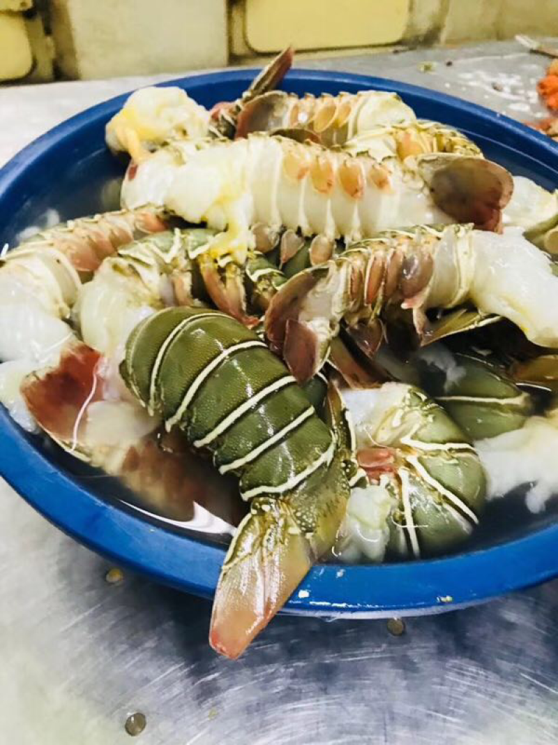 海虾，扒皮鱼、龙虾等产品