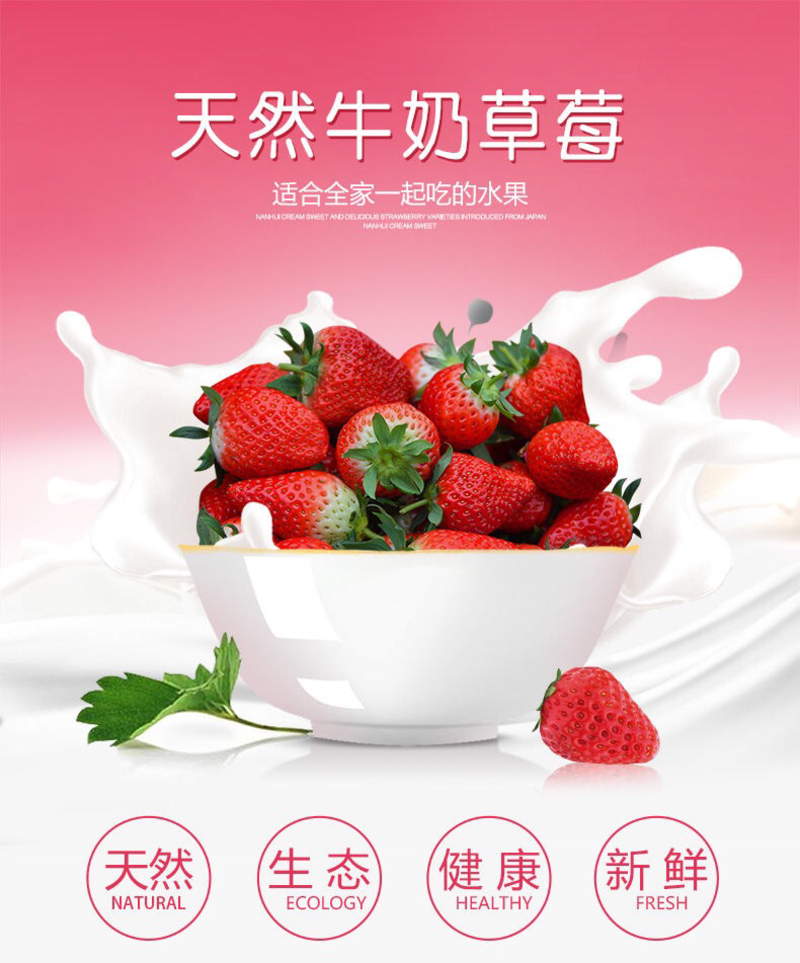 牛奶草莓支持大宗交易邮费自理