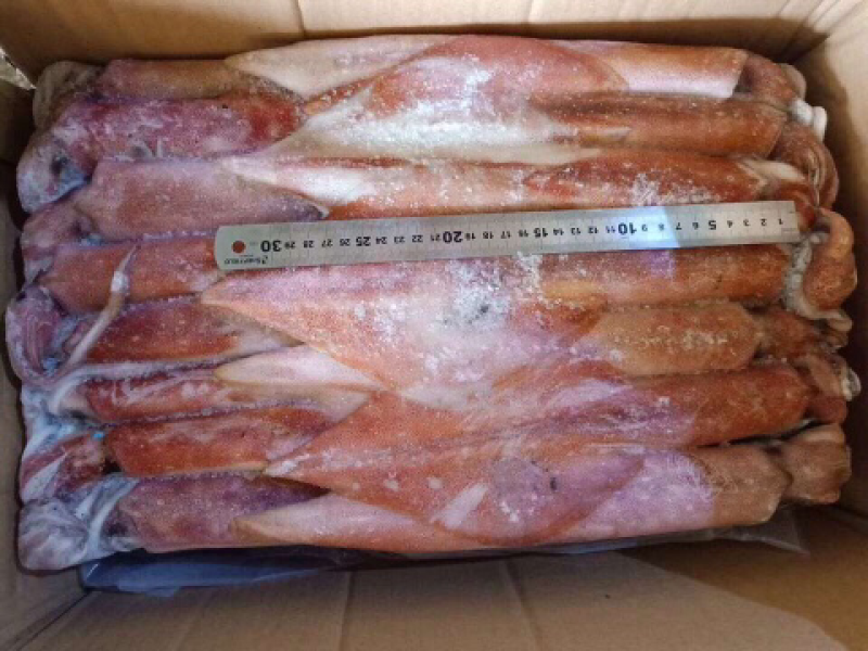 吊鱿鱼，船冻鱿鱼，深海灯光鱿鱼，冰鲜鱿鱼批发