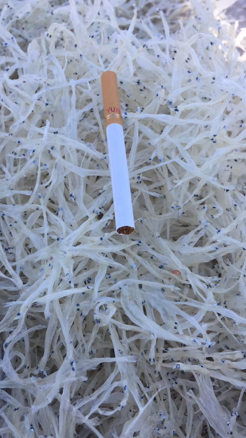 水产干货3—5cm的淡水银鱼干