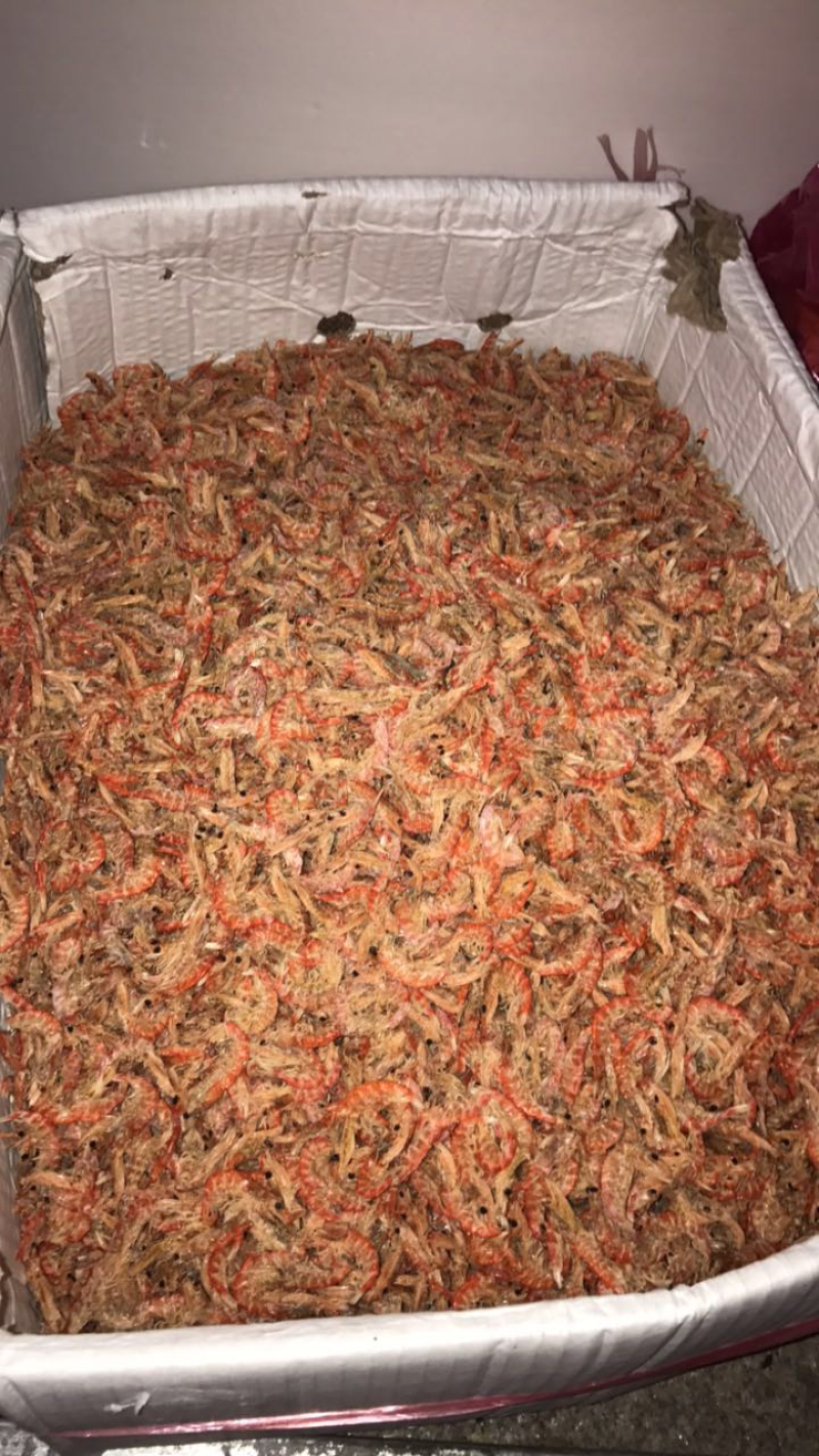 近海对虾皮