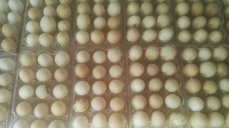 土鸡蛋食用50g以下