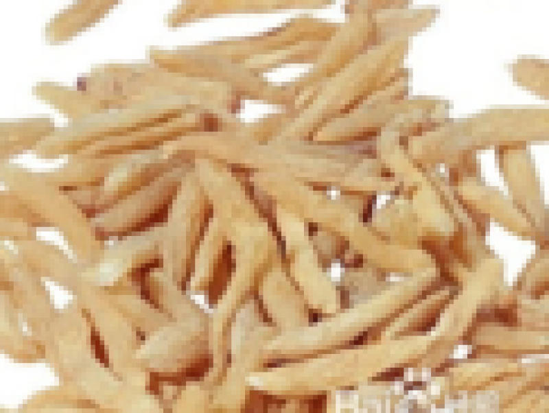 大量供应天冬苗量大从优