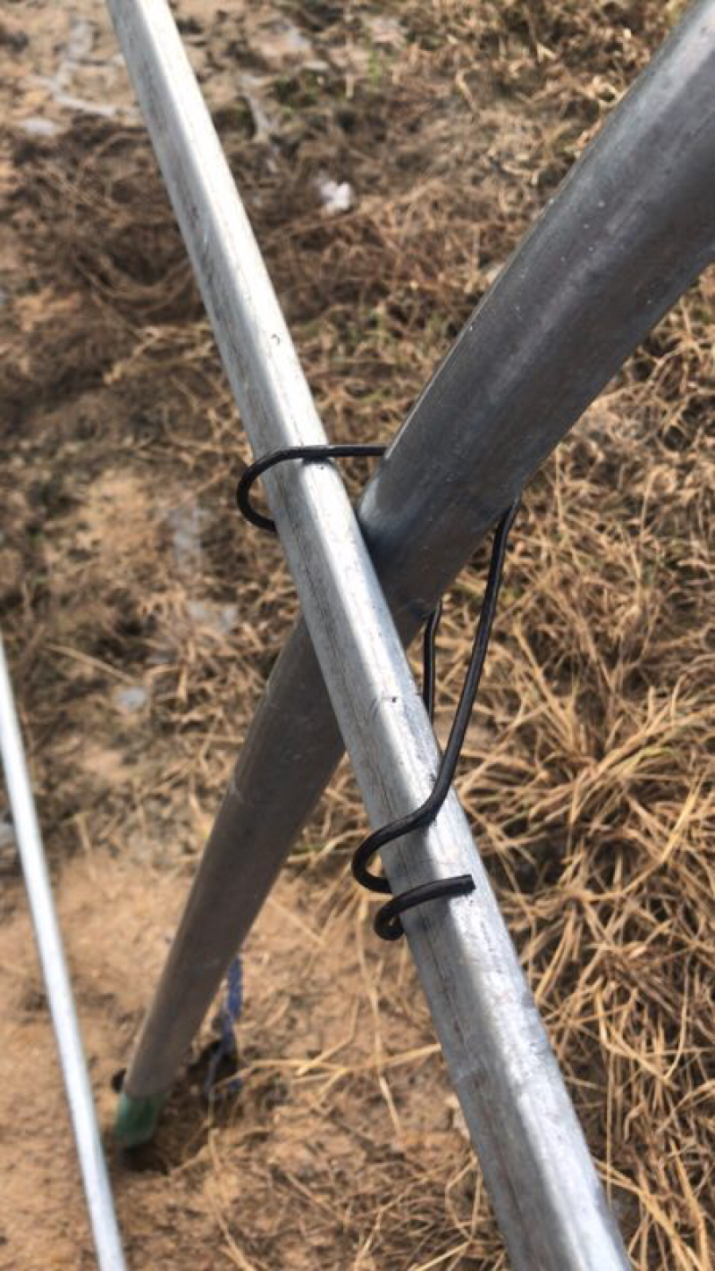 大棚配件异形压顶簧椭圆管卡压顶簧卡槽压顶簧钢丝簧卡