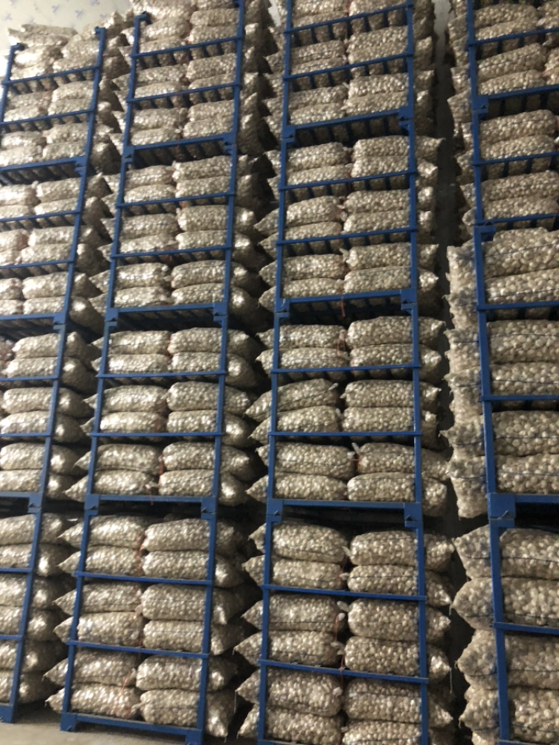 仓库冷库出租配资专业储存蒜苔大蒜大白菜储存吨位灵活
