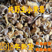 东北吉林野生小黄蘑菇农家晾晒质量好产地