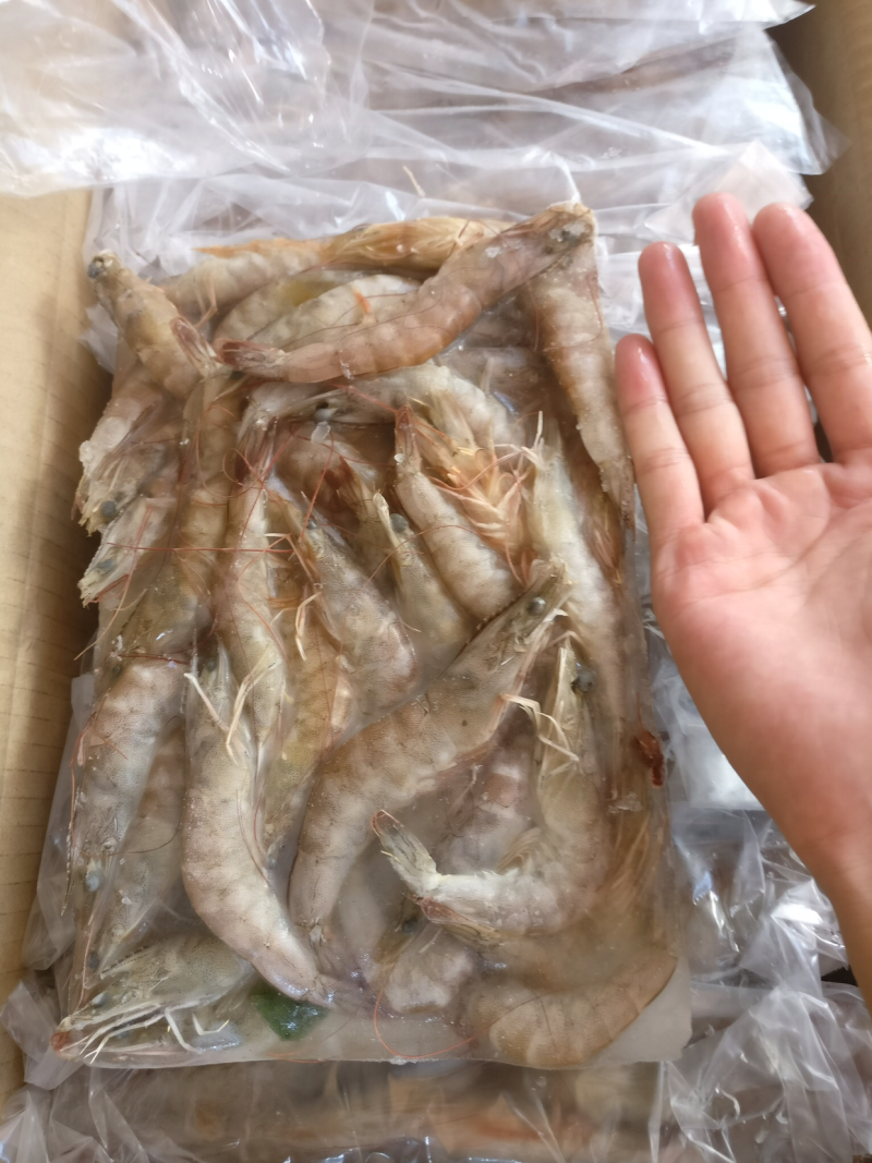 冰鲜虾，深海虾，速冻基伟虾，批发海虾，
