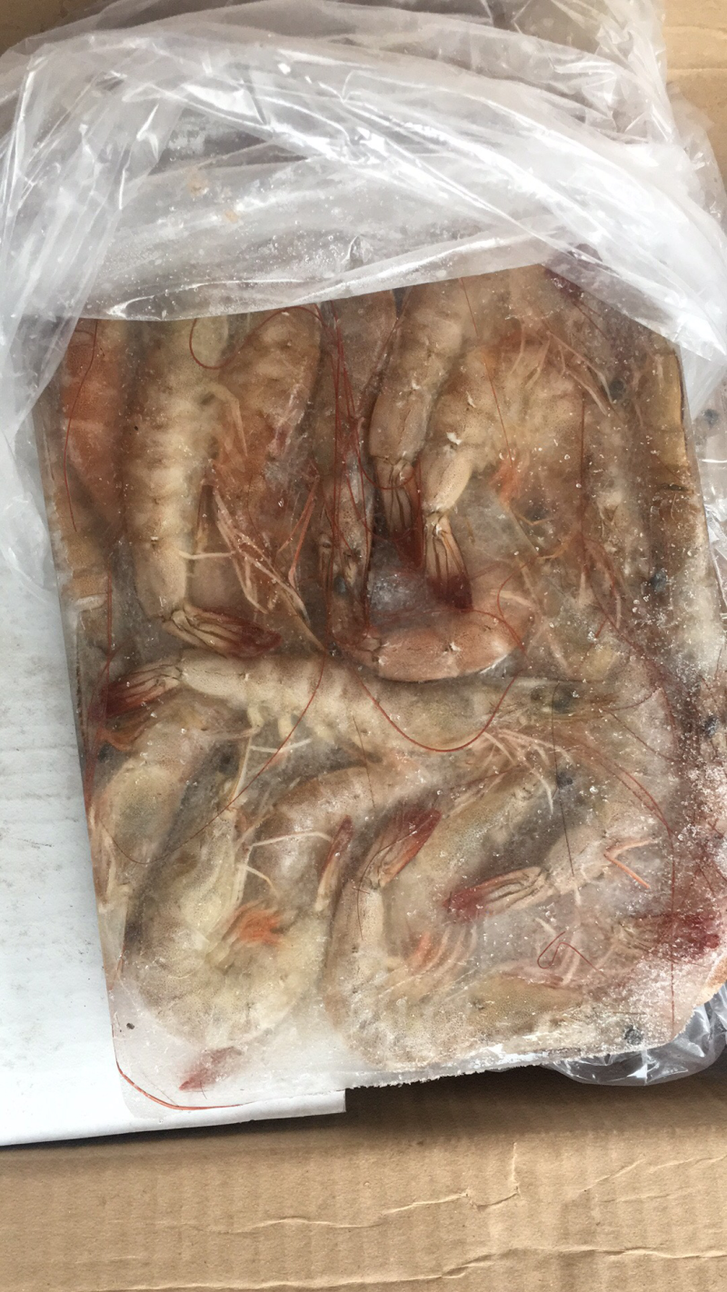 冰鲜虾，深海虾，速冻基伟虾，批发海虾，