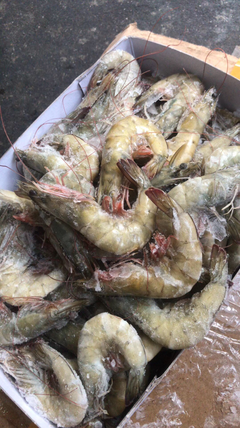 冰鲜虾，深海虾，速冻基伟虾，批发海虾，