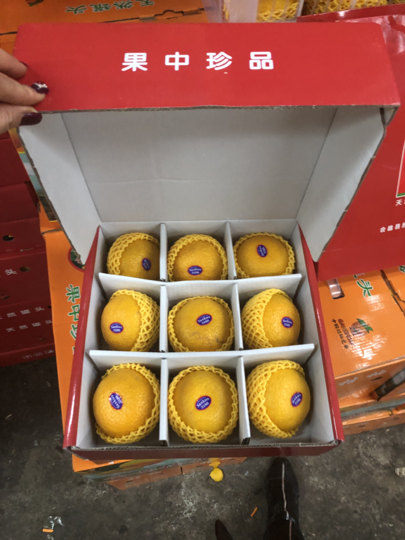 甜心柚纯甜，水分充足