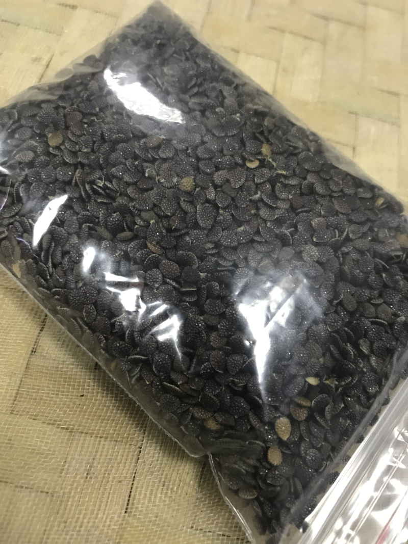 绿皮荔枝味百香果种子