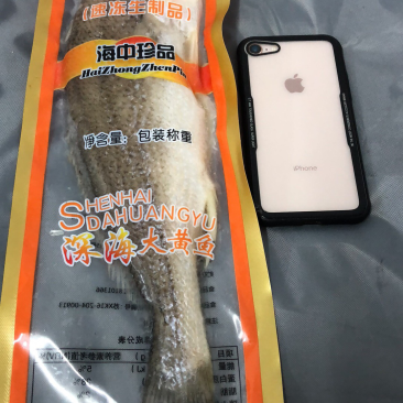 南非拉菲