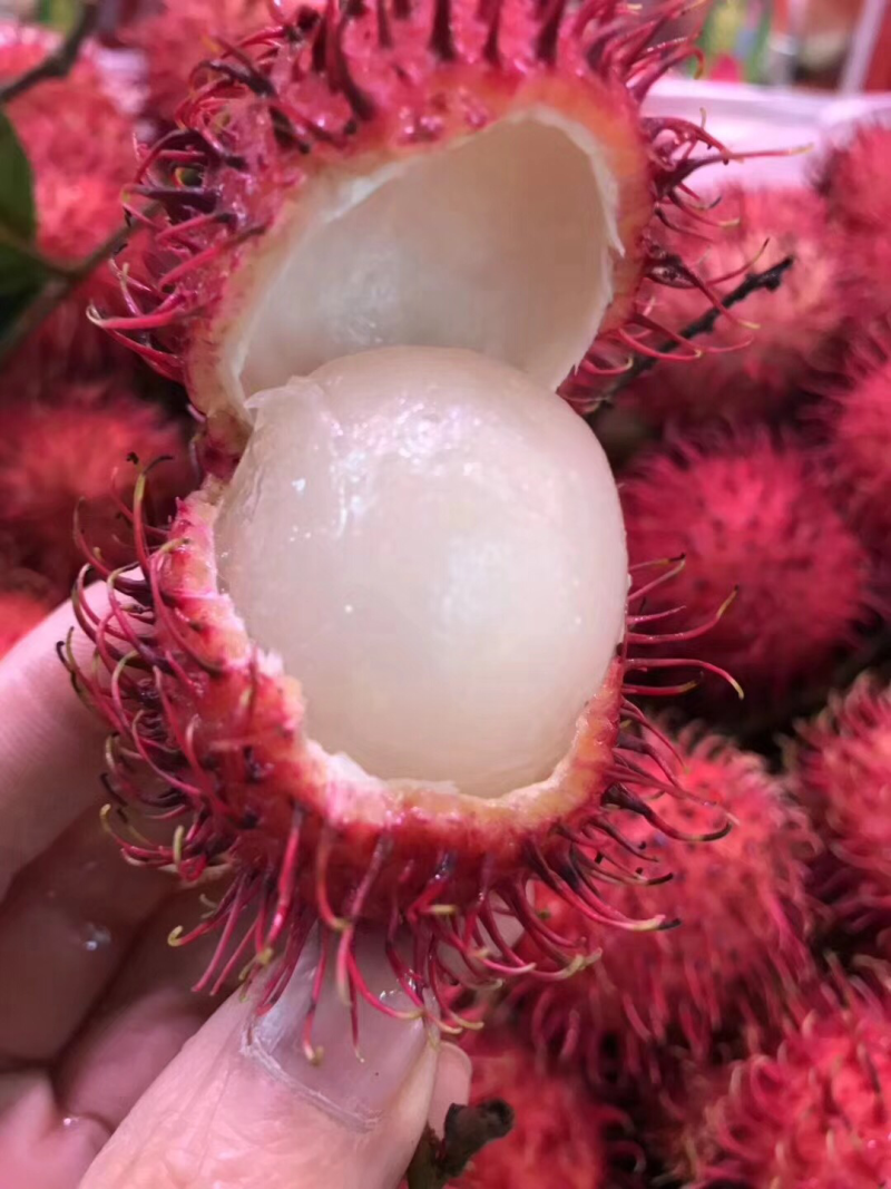 红毛丹