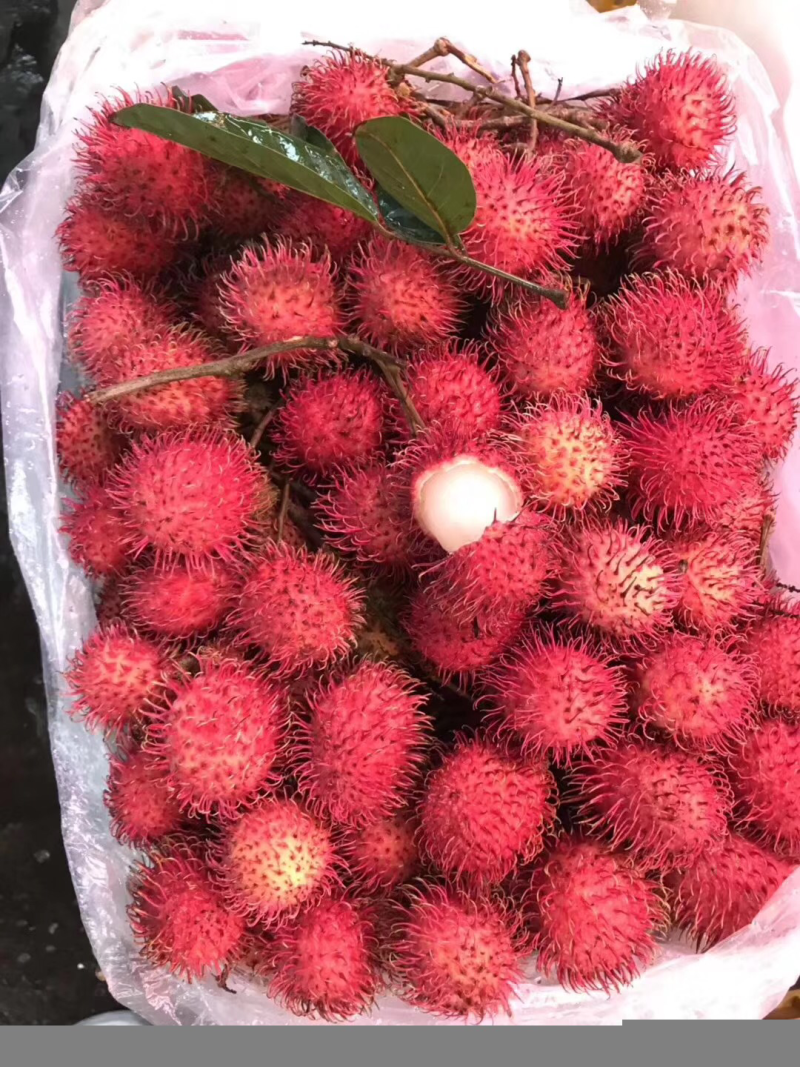 红毛丹